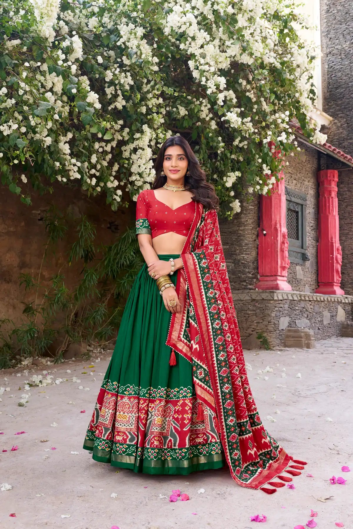 Diyanshi Patola Printed Lehenga Choli